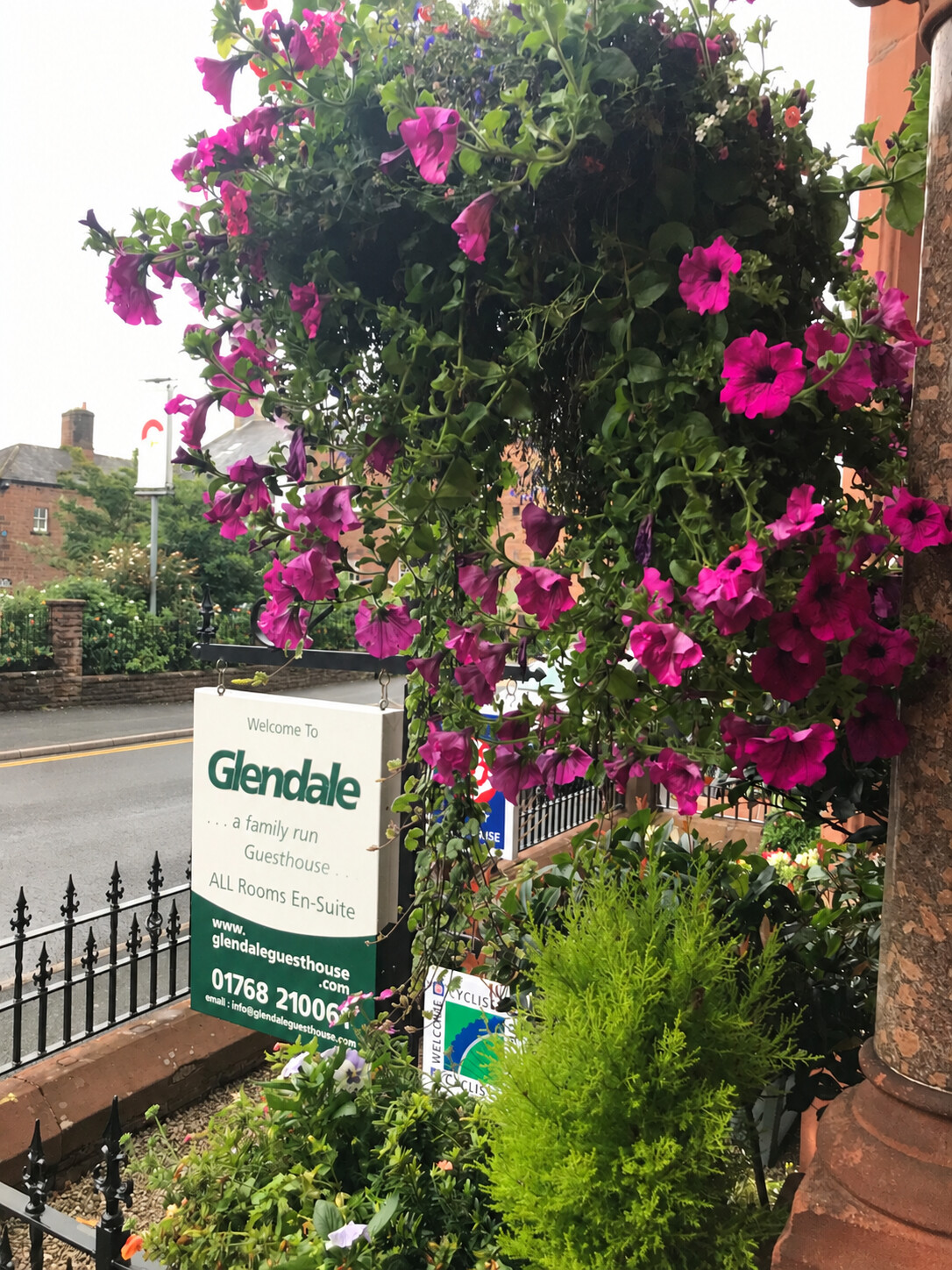 Glendale Guesthouse sign framed by colourful flowers